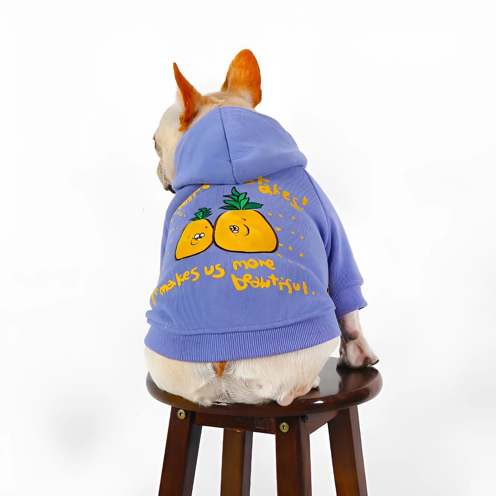 Blue and purple cartoon printed plush fleece dog hoodie with a cotton lining and a hood.