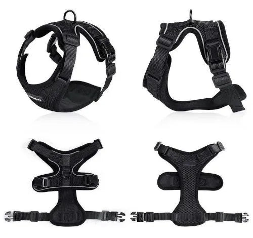 Escape proof cat vest harness in black with reflective trim and car seat belt adapter leash