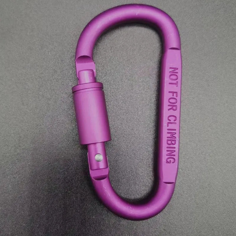 Silver D-shaped aluminium locking carabiner on a grey background.