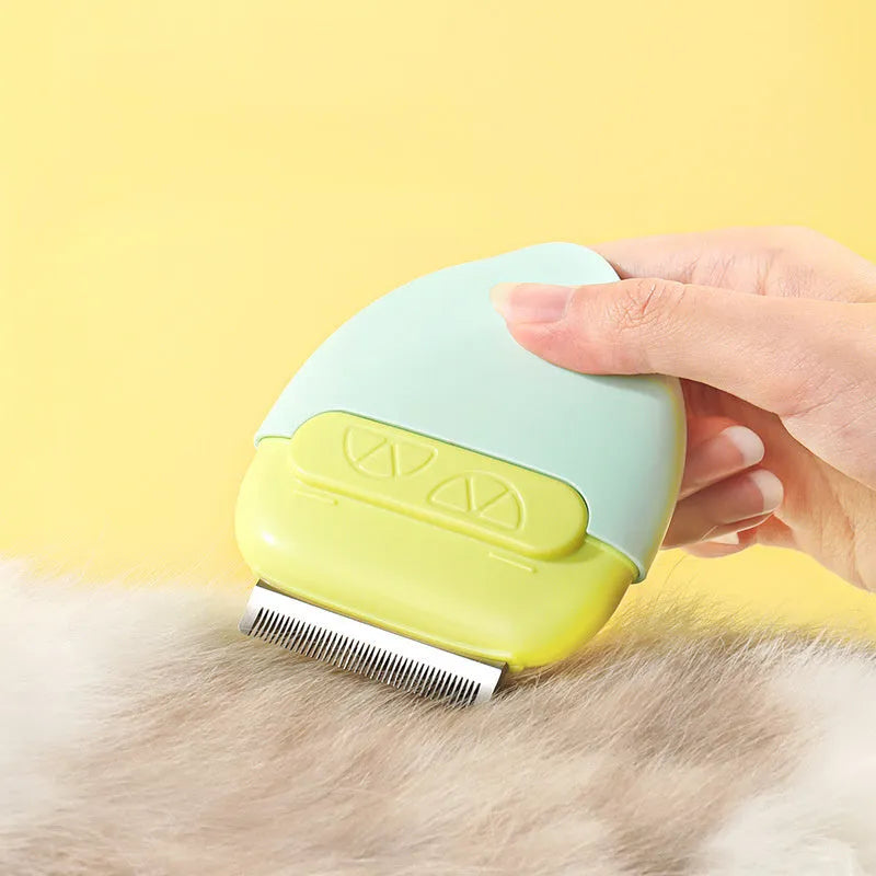 Double-headed mini pet comb with lid in blue colour for removing floating hair from cats and small dogs