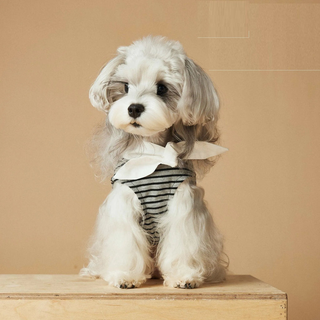 Striped dog dress for female dogs in polyester material, sizes XS to XXL, spring summer casual style