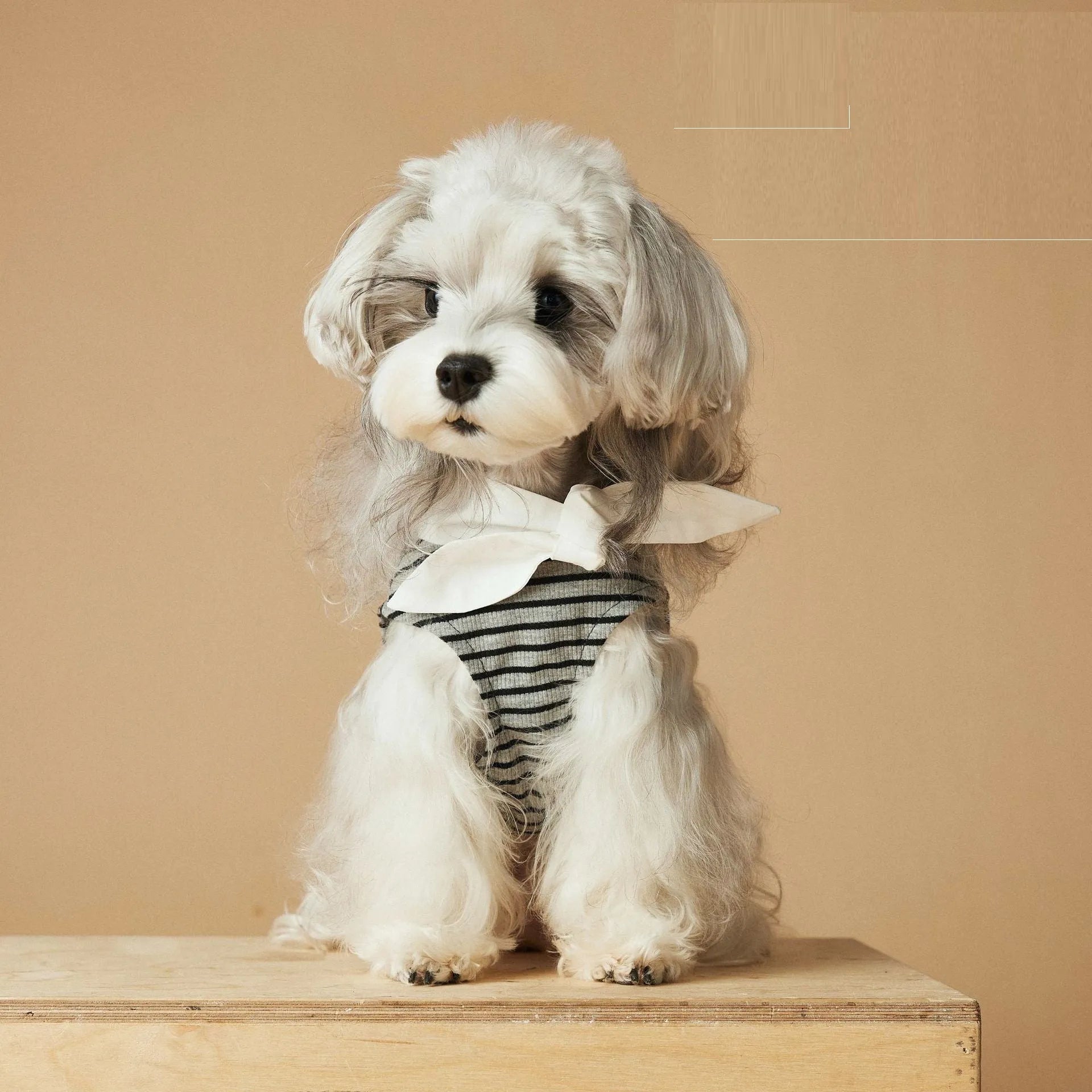Striped dog dress for female dogs in polyester material, sizes XS to XXL, spring summer casual style