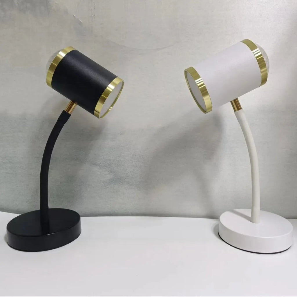 Black and white double-headed photography lamp with metal holders for streaming lighting