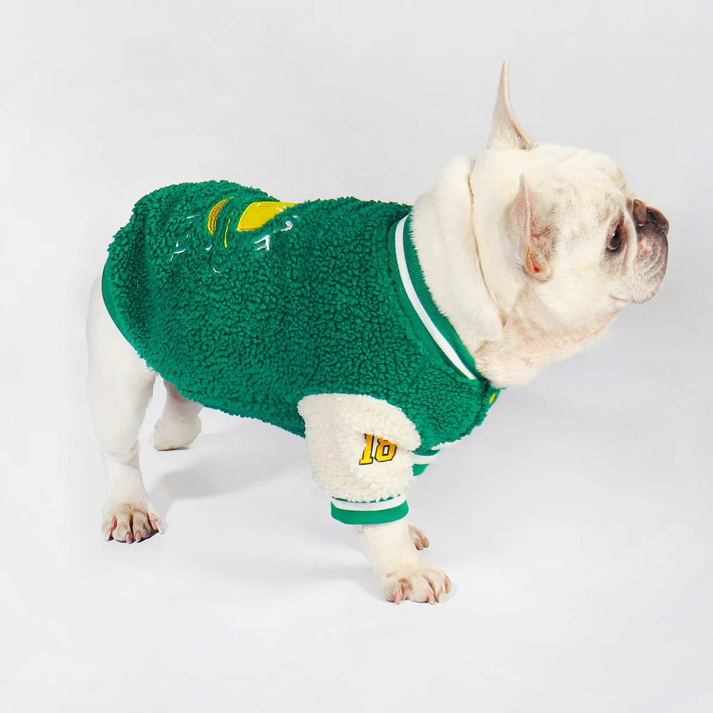 Green fleece-lined cotton winter coat for a dog on a size chart showing L, XL, XXL, 3XL, and 4XL.