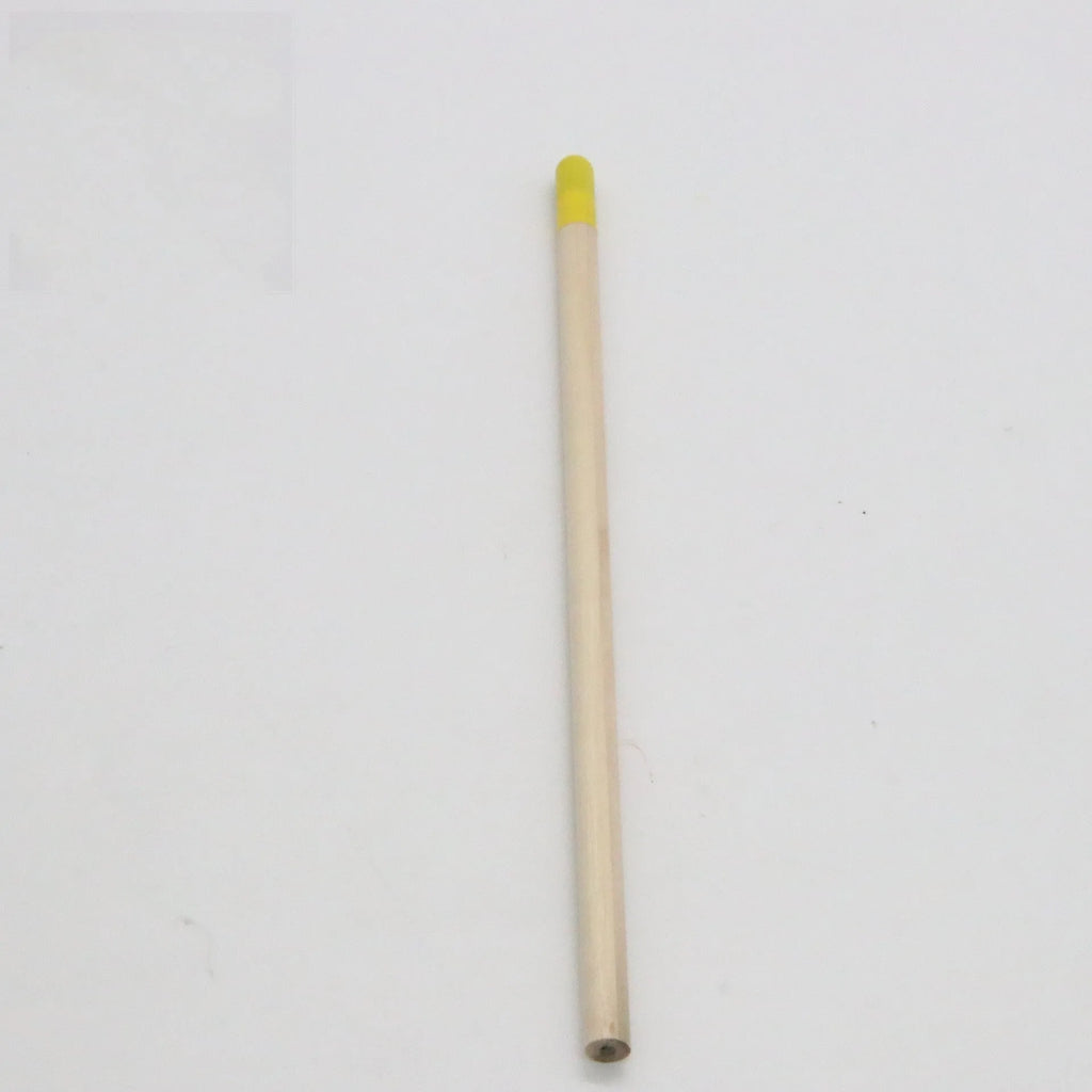 Seed Pencil with coloured degradable capsule tip containing a plant seed, alongside HB refill.