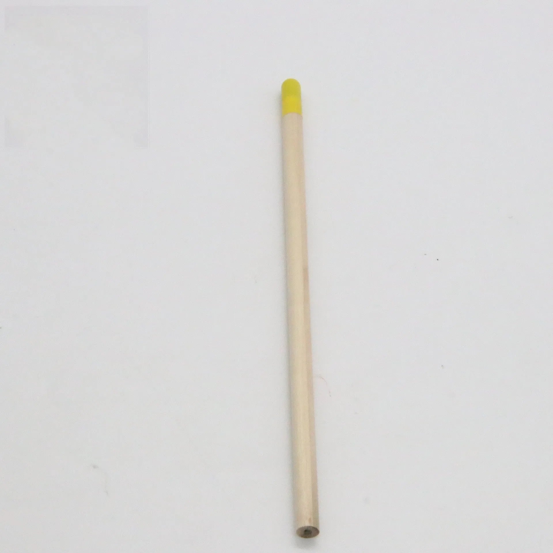Seed Pencil with coloured degradable capsule tip containing a plant seed, alongside HB refill.