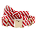 Striped green dog collar with a red bow, showing engraving space and adjustable buckle.