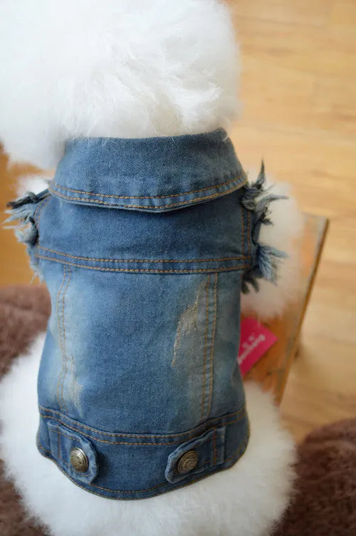 Small dog wearing a denim vest with a retro scratch pattern design.