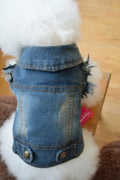 Small dog wearing a denim vest with a retro scratch pattern design.