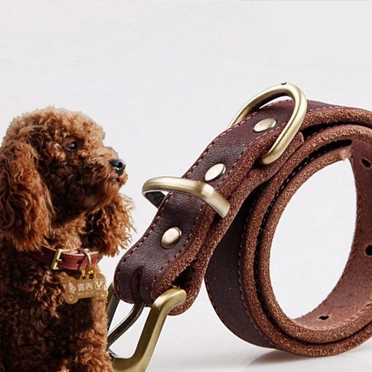 Cowhide pet collar for small and medium dogs in original leather colour, size 24CM-30CM