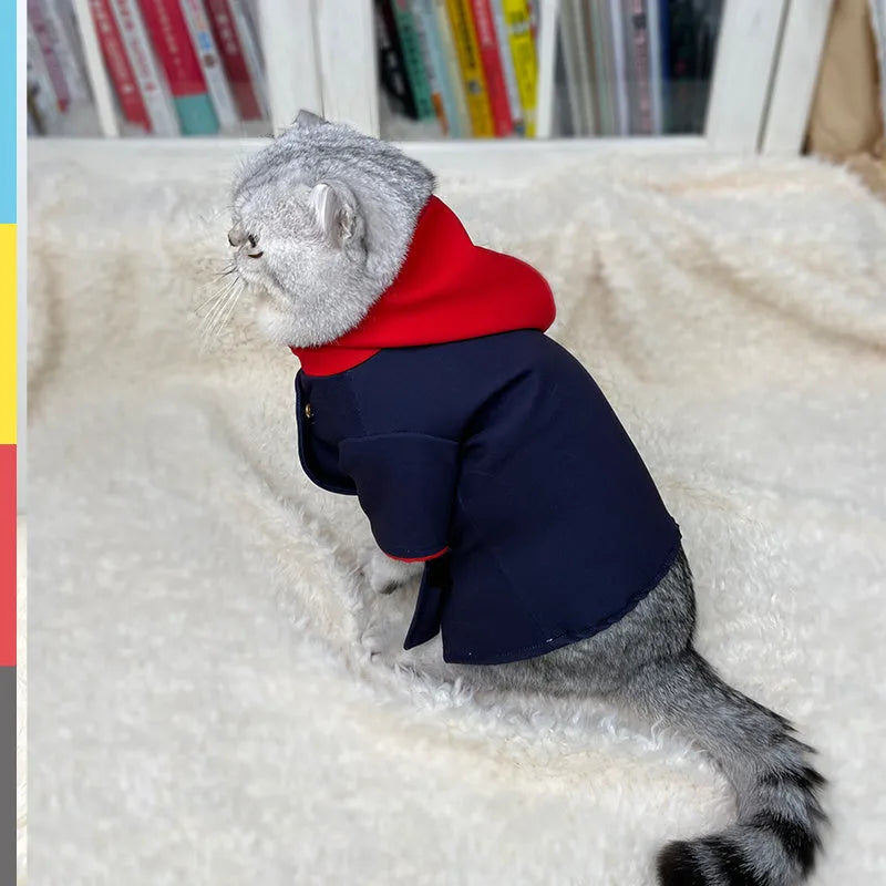 Tiger pattern hoodie for a small dog sitting as a photo prop.