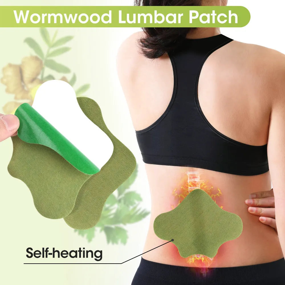 Chinese mugwort herbal patches pack showing knee, lumbar, cervical and foot application types