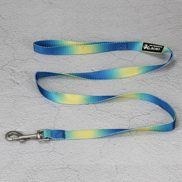 Gradient colour nylon dog leash showing pink-blue pattern with collar attachment