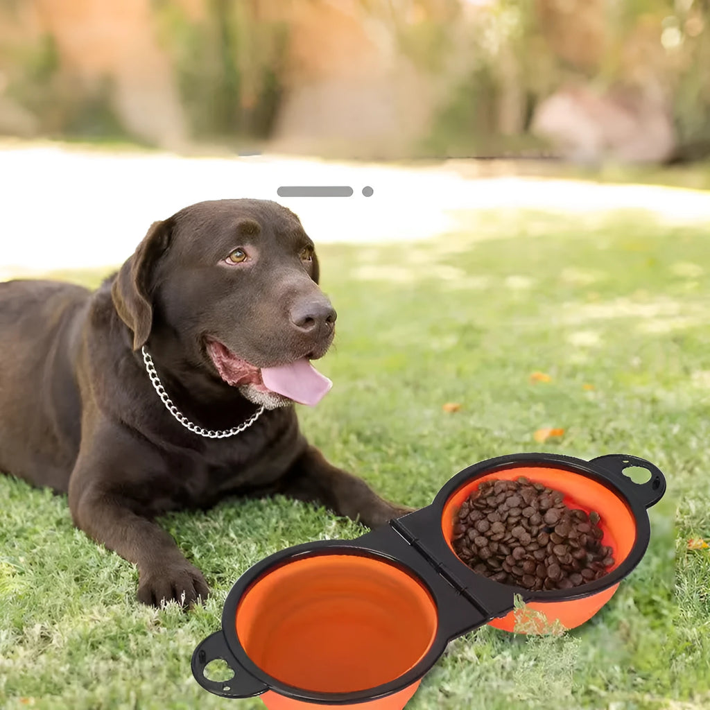 Folding silicone double pet bowl shown in expanded and collapsed positions with anti-slip base
