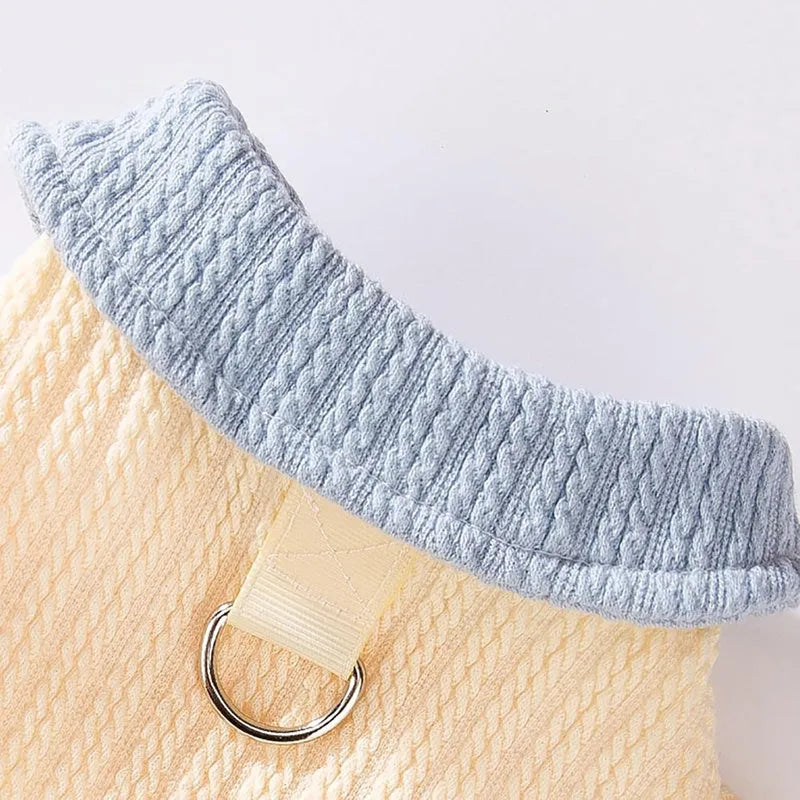 Yellow colour-block knit dog coat with bow tie collar on a small dog, suitable for autumn winter wear