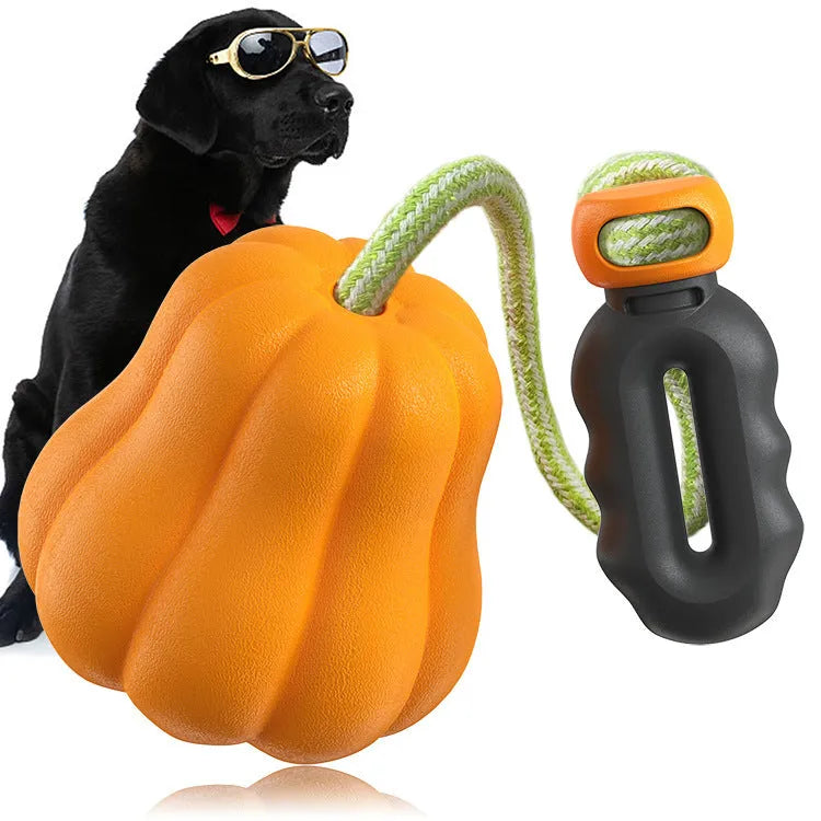 Plastic outdoor dog toy in single pumpkin colour for camping fetch games and bite training.