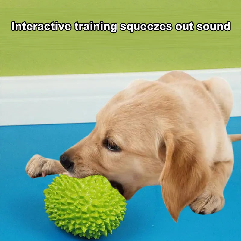 Colourful durian-shaped dog chew toy with textured surface and a squeaky ball