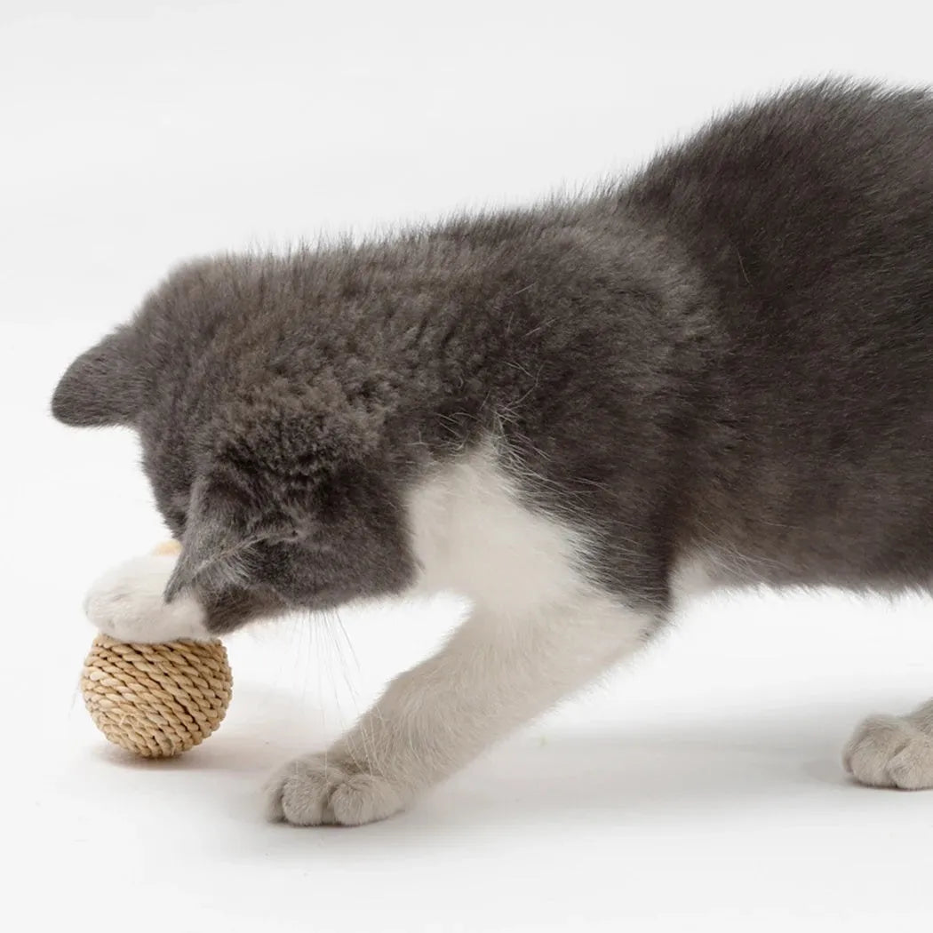 Two cat toys: hollow rattan ball with bell and faux feather ball in primary colours