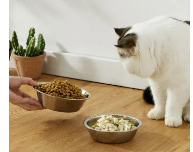 Stainless steel pet bowl set showing five different sizes from 13cm to 22cm diameter.