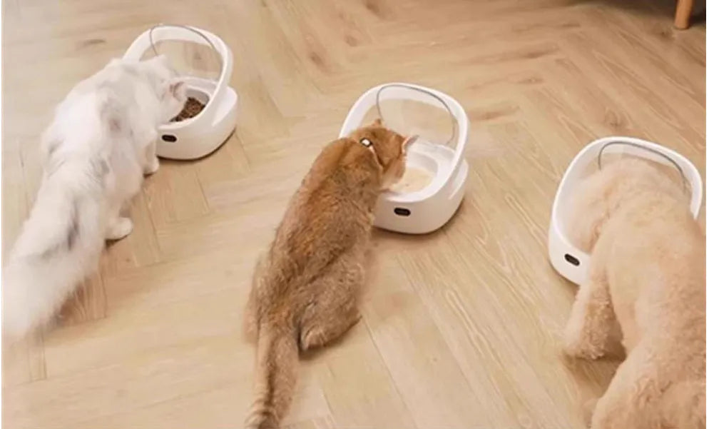 Smart pet feeder in white plastic with food bowl and ice box for cats