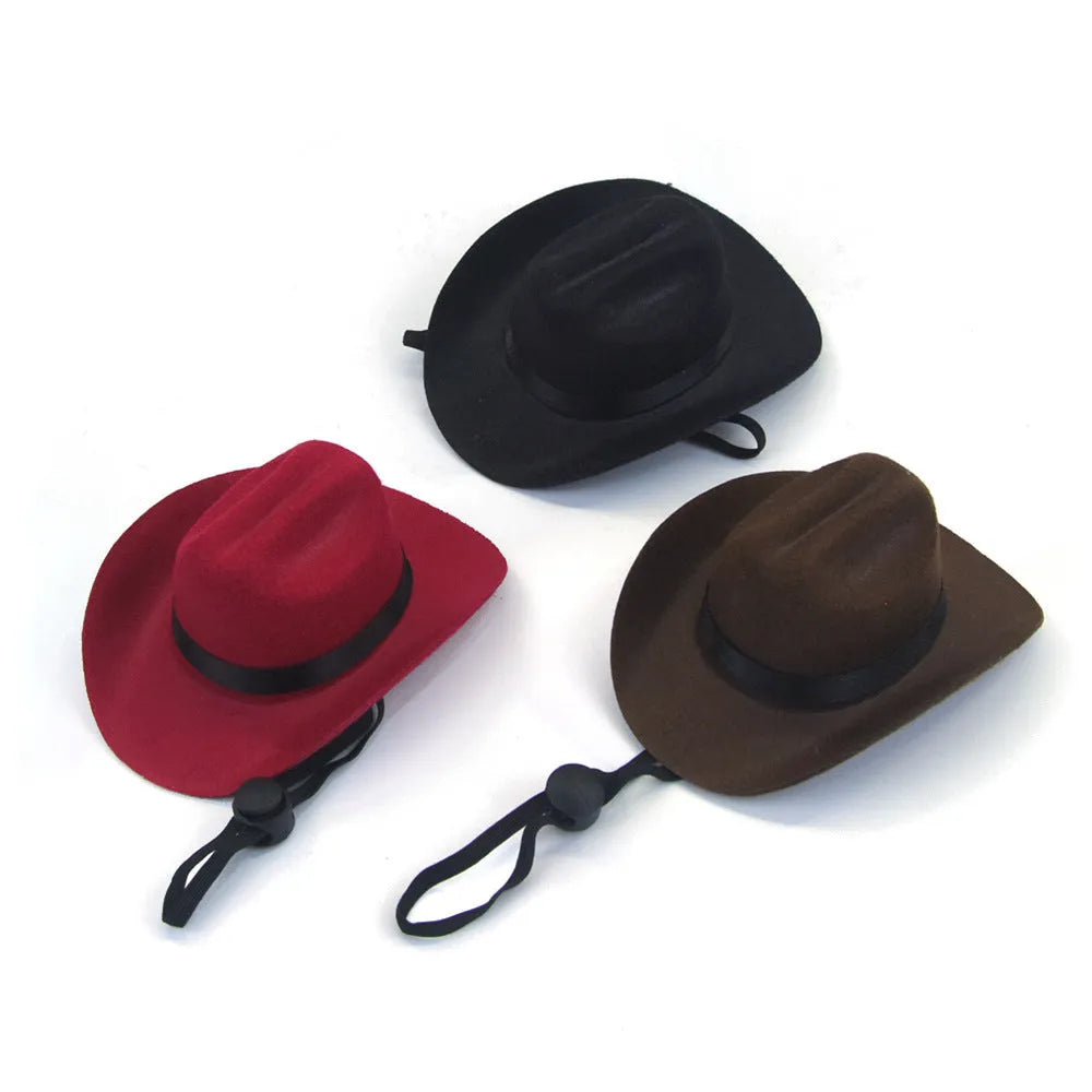 Adjustable pet cowboy hat in four colours on dog model showing size proportions