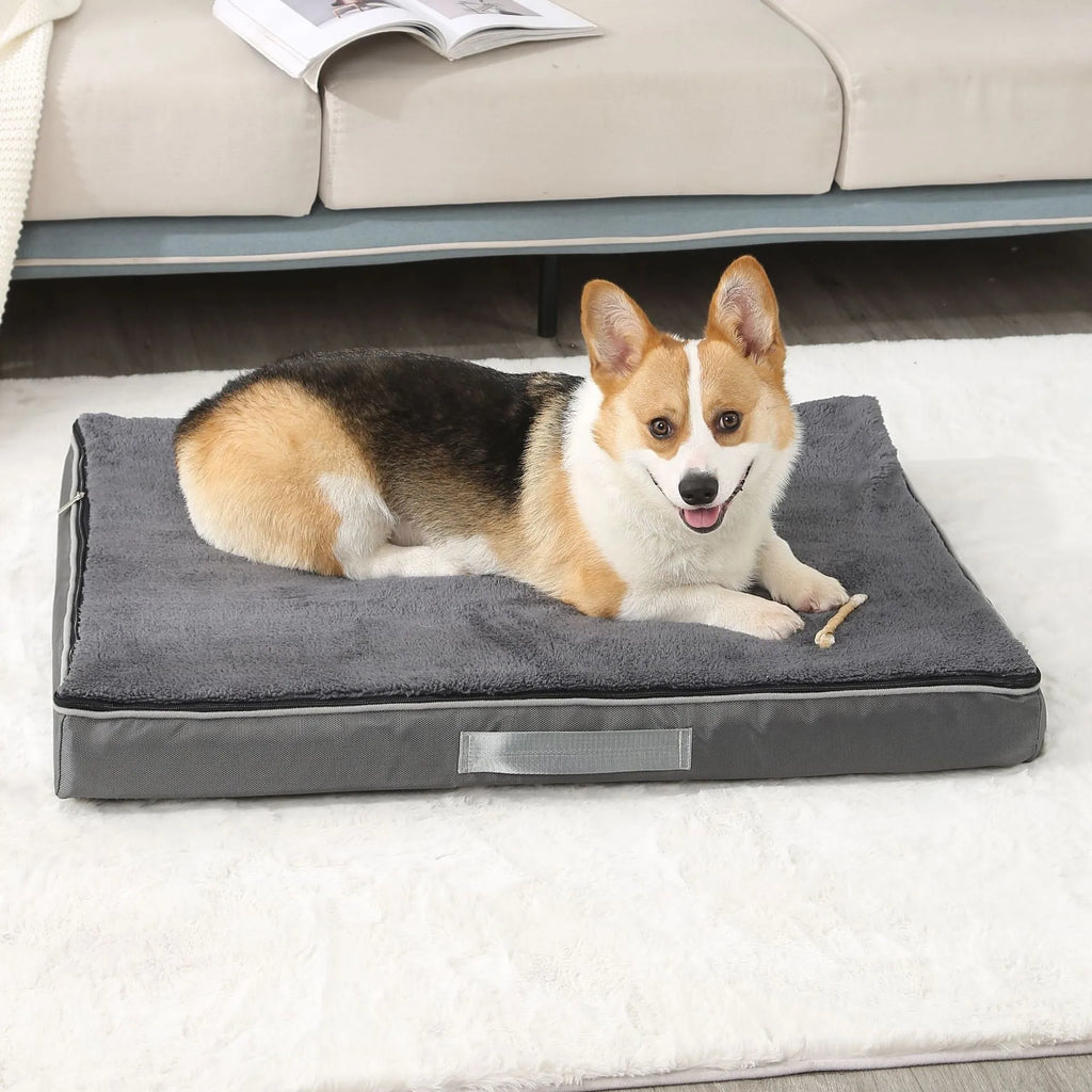Brown removable washable memory sponge dog mat on a floor
