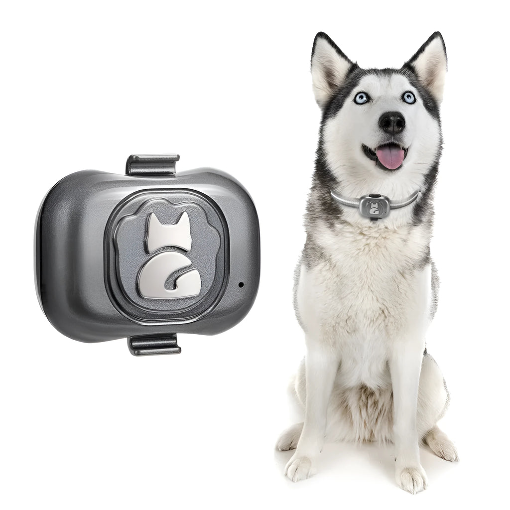Black pet GPS tracker with hanging rope on a dog collar, showing compact ABS case.
