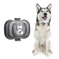 Black pet GPS tracker with hanging rope on a dog collar, showing compact ABS case.
