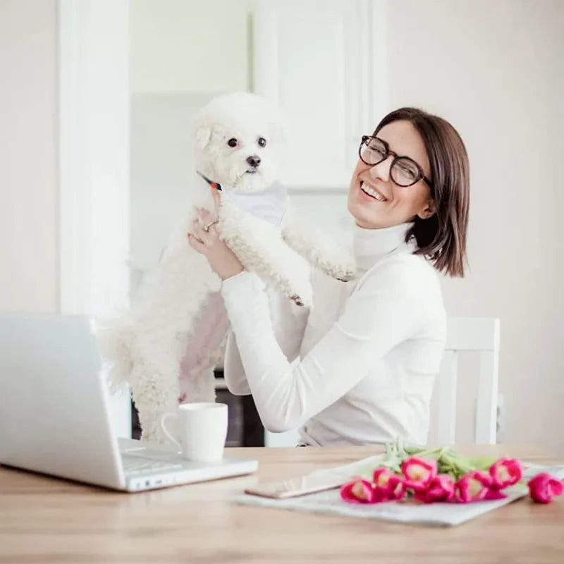 Blank white polyester dog scarf bandana for custom thermal transfer printing, shown in four sizes.