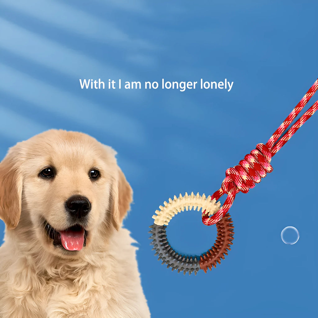 Long blue braided rope dog toy with a central knot, shown on a white background
