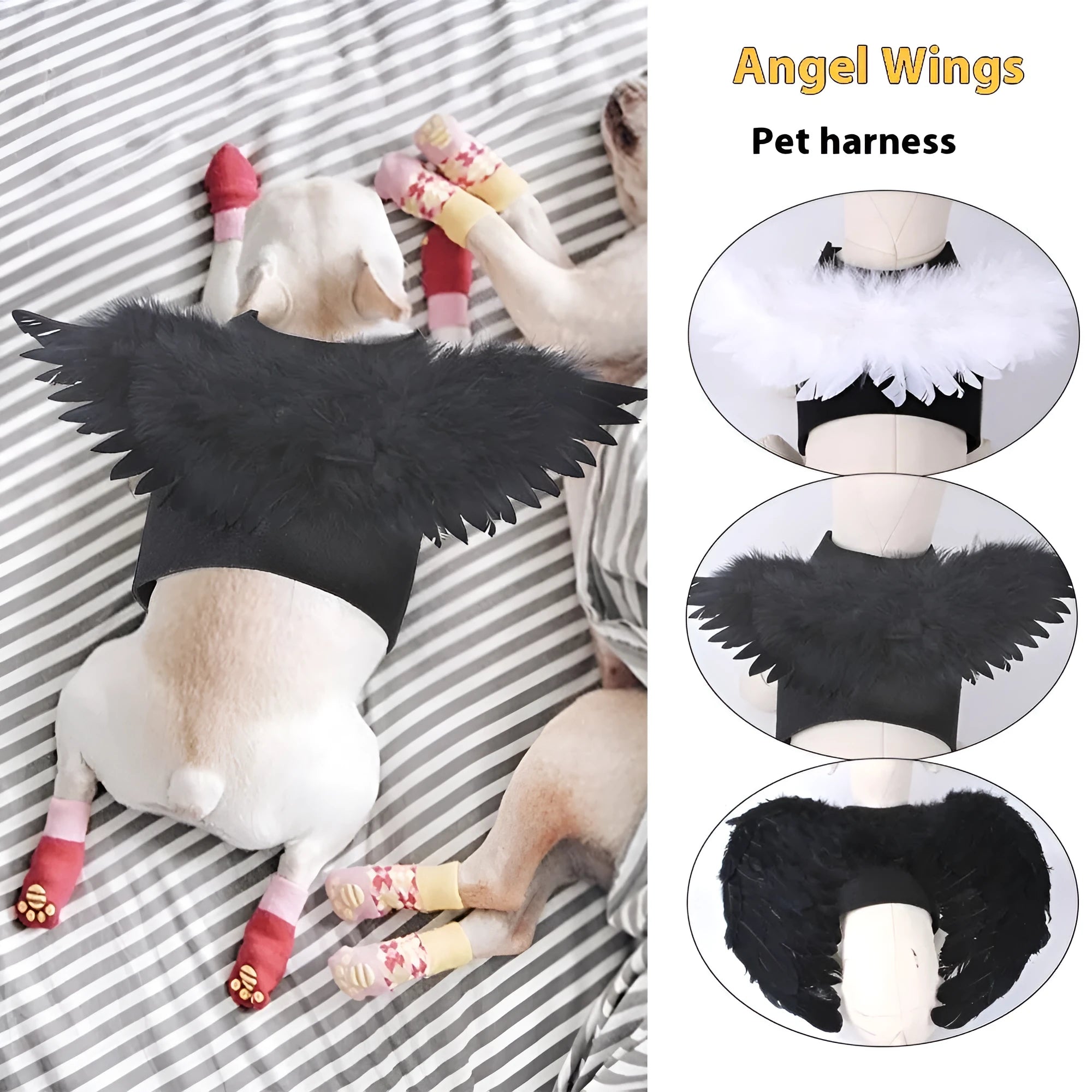 Black and white angel wings dog costume with chest-back harness design for Halloween