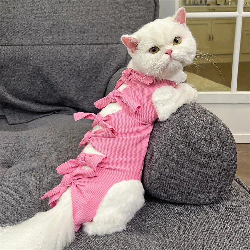 Blue lace-up cat recovery suit on a tabby cat, showing the adjustable back closure and full-body coverage.