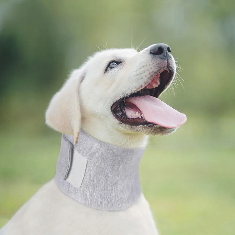 Soft grey recovery cone collar for cats and dogs with size measurement chart