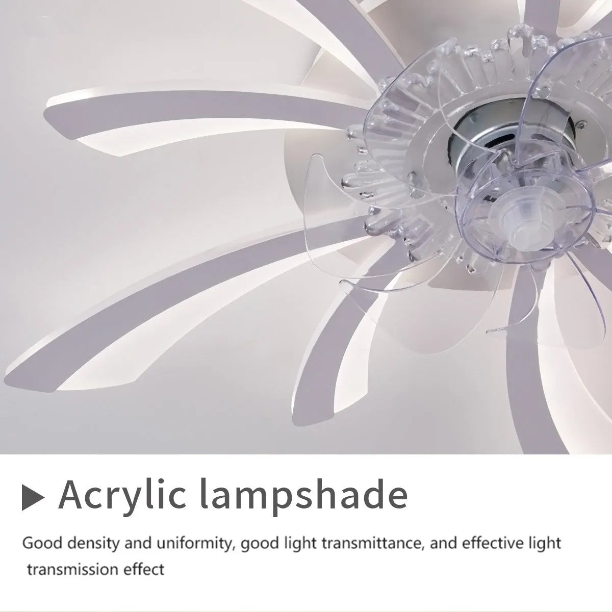 Modern white ceiling fan light with six blades and integrated light, bauhinia flower design.