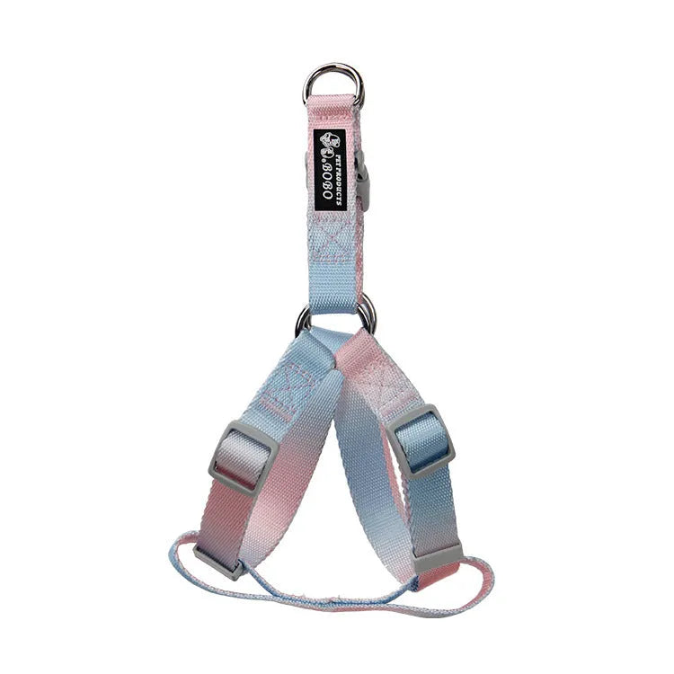 Gradient colour nylon dog leash showing pink-blue pattern with collar attachment