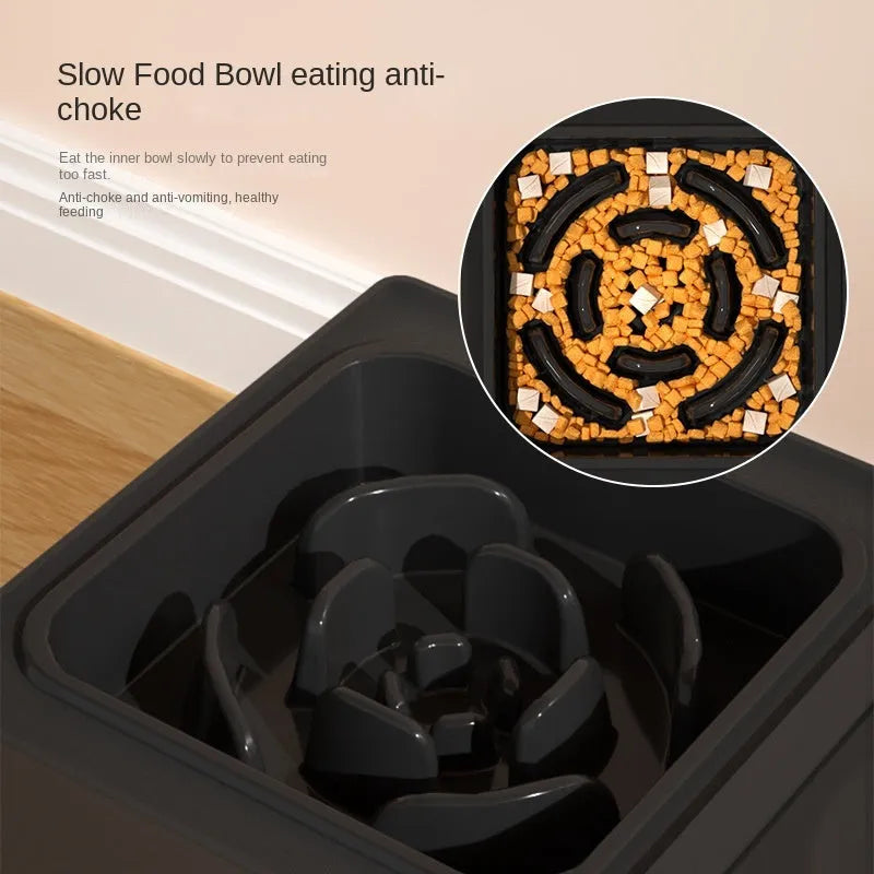 Black adjustable height dog feeding stand with two stainless steel bowls elevated on plastic stand