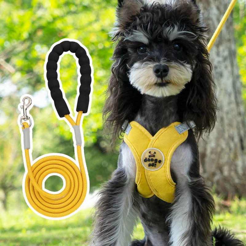Polyester dog harness and hand-holding lead set in blue, green, pink, or yellow colour options.