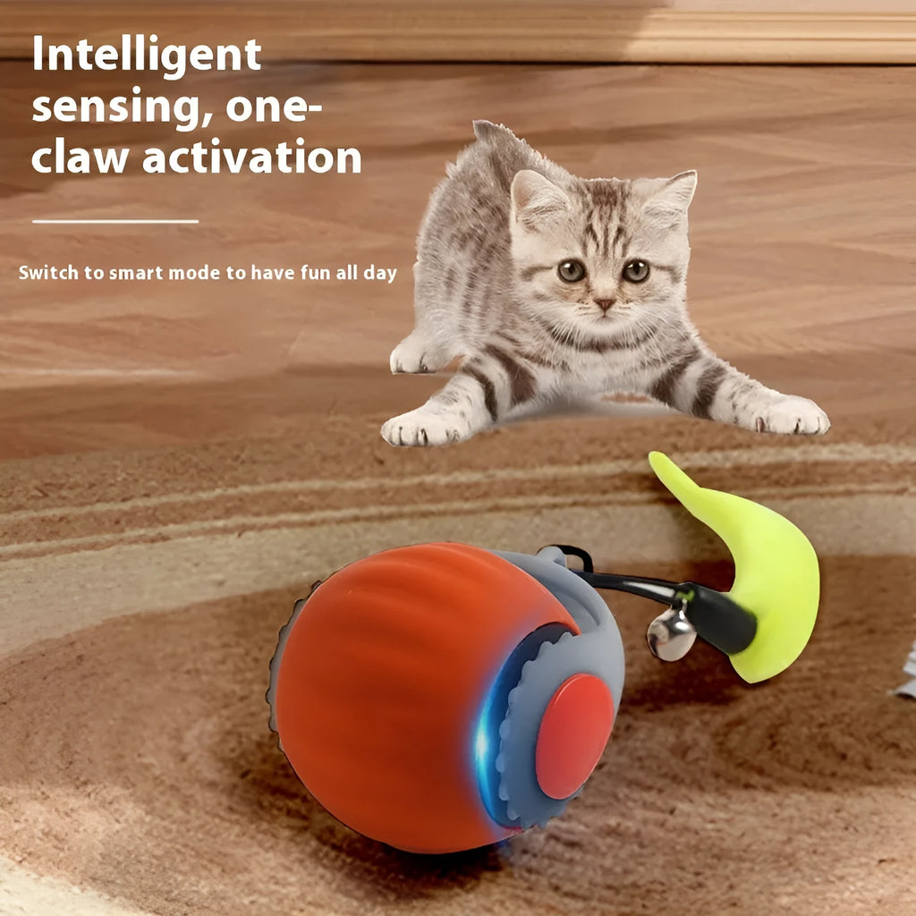 Gravity automatic cat toy with silicone tail and rolling ball in orange and blue colour options