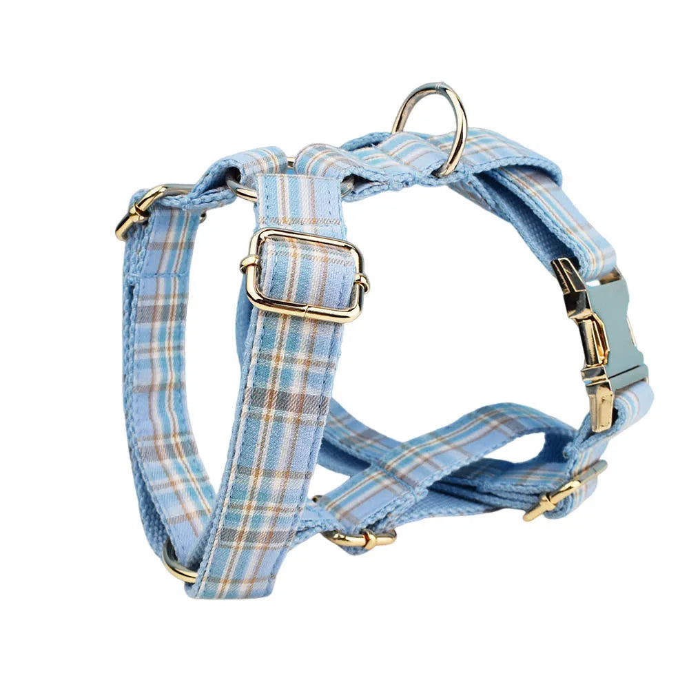 Sky blue grid pattern dog collar, leash, vest, and bow set laid out on a white background.
