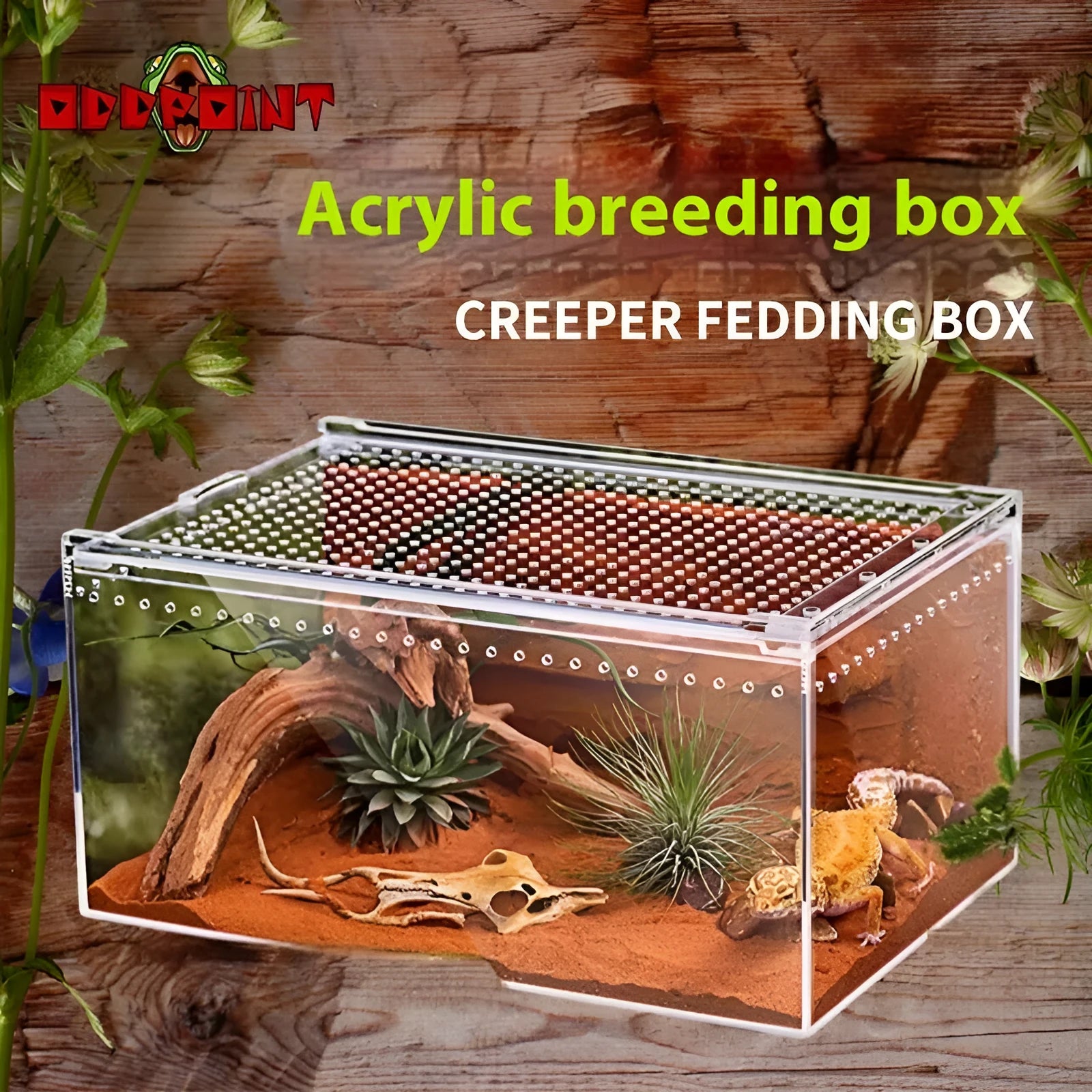 Transparent acrylic reptile feeding box showing PC construction and size options