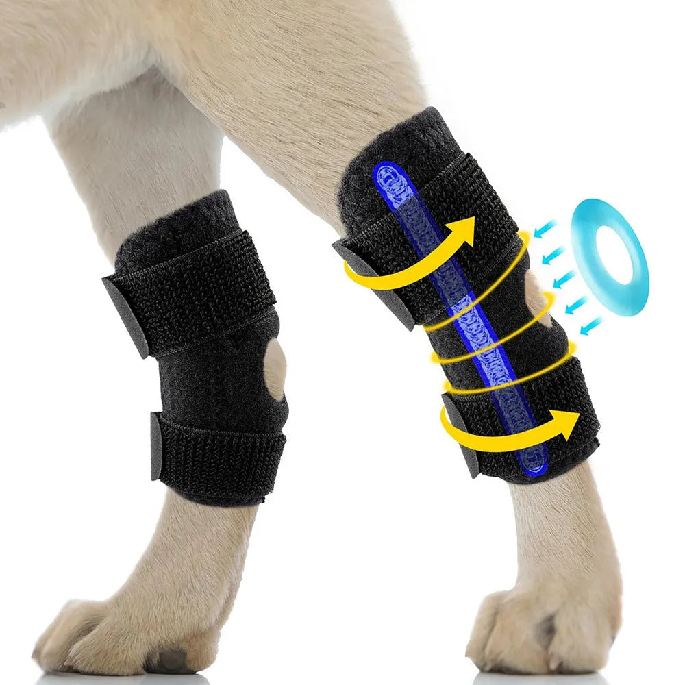 Black neoprene dog rear leg auxiliary strap with Velcro fasteners on white background