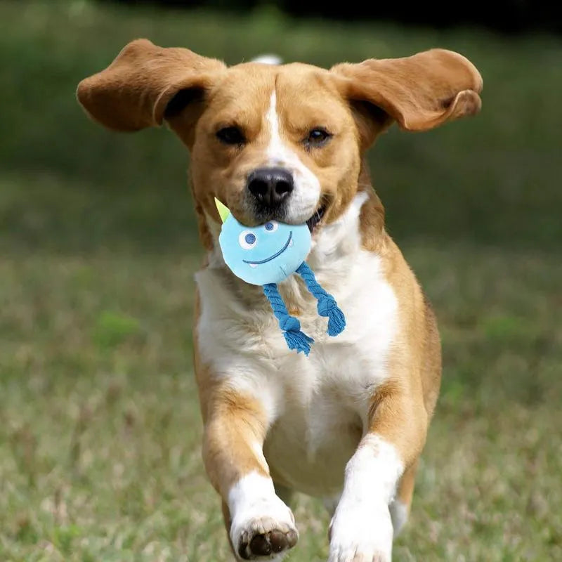 Blue and yellow dog squeaky toy with knot design made from cotton rope and PP cotton filling
