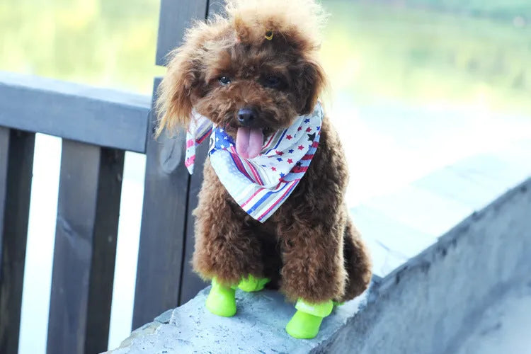 Soft rubber pet rain boots in royal blue, yellow, purple, rose red and black, sizes S M L