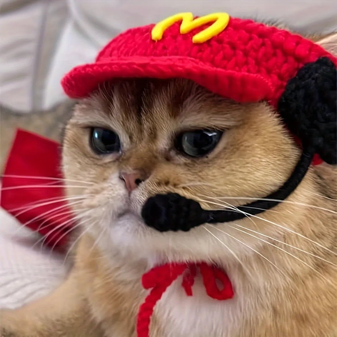 Handmade knitted cotton chef costume sweater and hat on a small cat or dog.