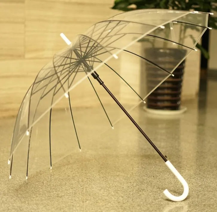 Transparent umbrella with long handle showing 16-rib construction and black steel frame