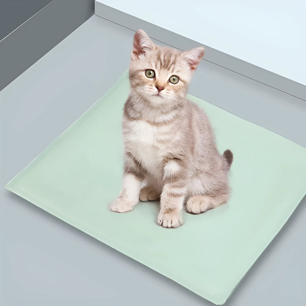 Electric pet heating pad in round or square size with AC 220V 45W power and three heat gears