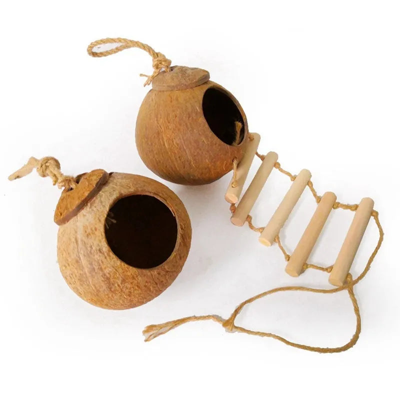 Natural coconut shell bird nest with ladder for parrots and hamsters, 11 cm total diameter