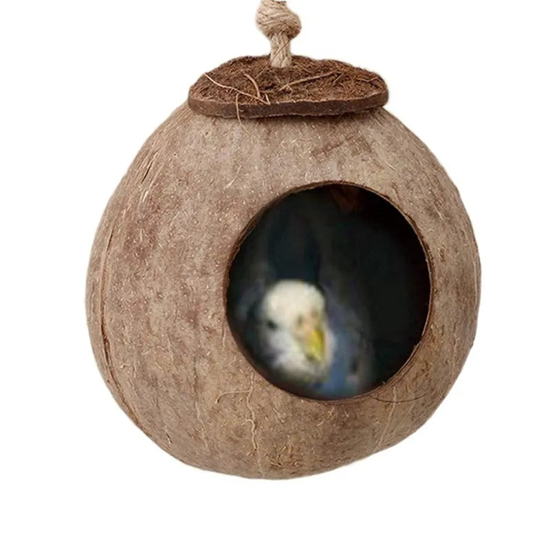 Natural coconut shell bird nest with ladder for parrots and hamsters, 11 cm total diameter