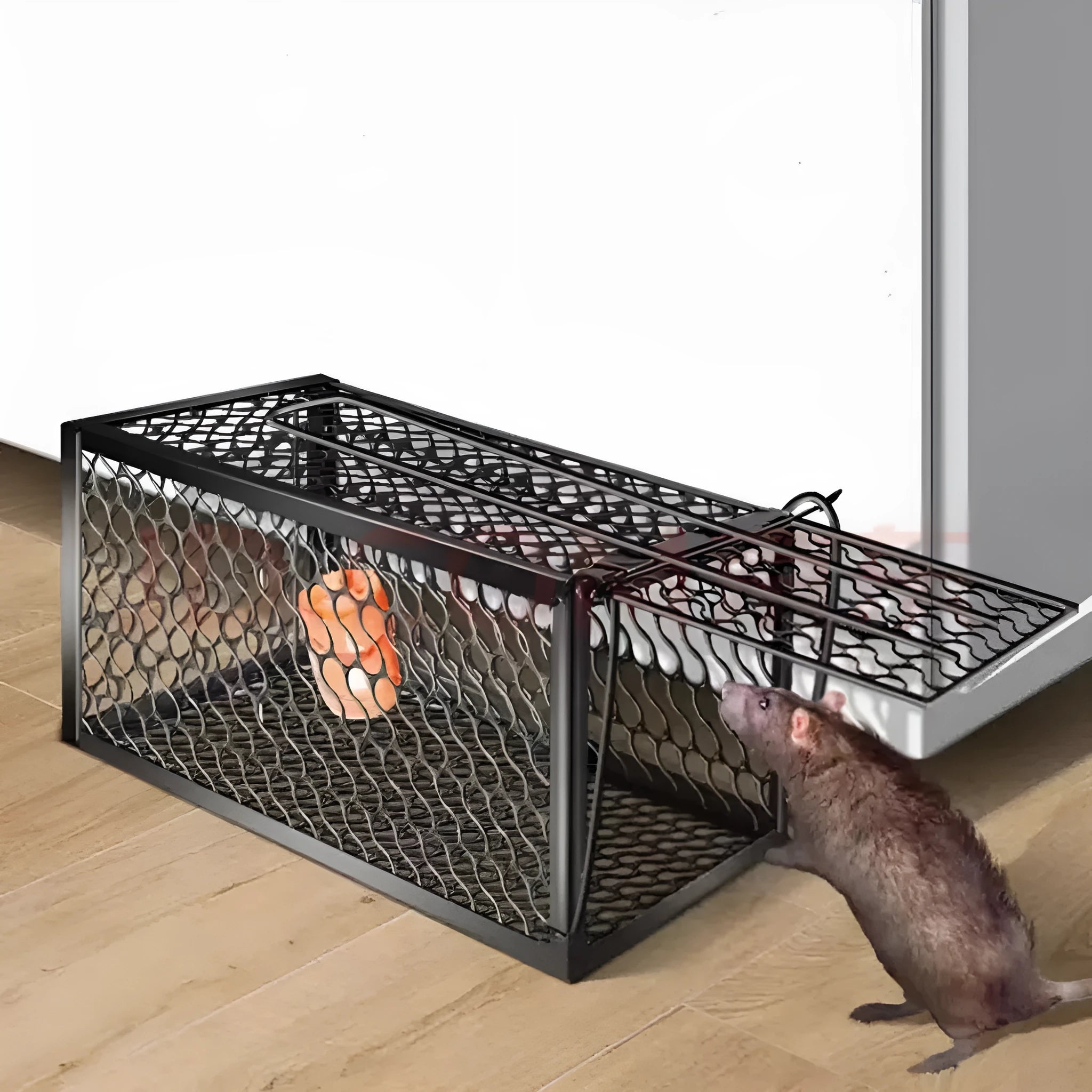 Automatic humane mouse trap cage in metal or plastic, shown in small, medium, and large sizes for indoor use.