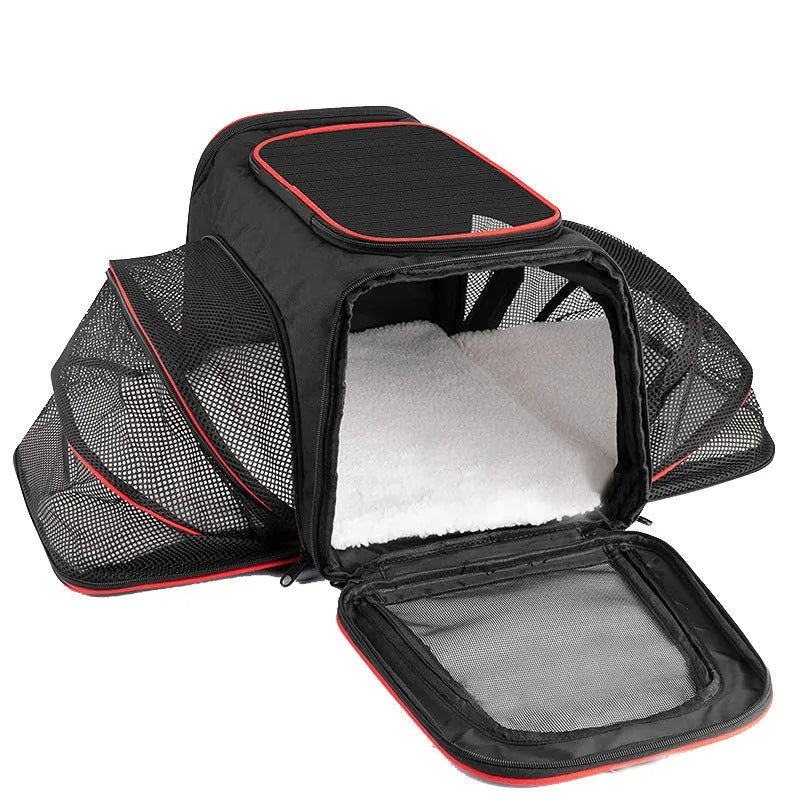 Black 600D cation fabric cat carrier bag with red piping shown in large size
